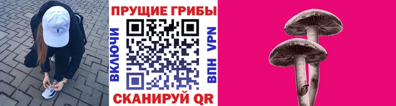 Галлюциногенные грибы Psilocybe  Зубцов 